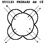 Figura 1
